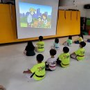 대학태권도체육관 이미지