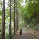 장동 계족산마을 | 계족산 황톳길과 이어지는 대전 산디마을 산신제길 걷기