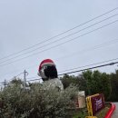 모차르트의밤 | 미국 오스틴 카페 모차르트 커피 Mozart's Coffee Roasters 후기