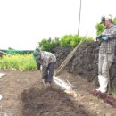 올인당구장 이미지