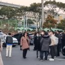 제주 인 포항 이미지