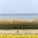 갈맷길(5-1구간) 이미지