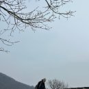 522 | [에너지듀리⚡️] 산행일지-하남 남한산, 정상, 522m 등산후기, 등린이코스