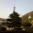 삼장초등학교 이미지