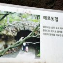 다희연 티 뮤지엄 이미지