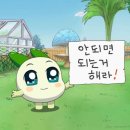 아진수산(주) | [직장인 일상] 속초 여행/내돈내산 재방문 맛집 (신토불이 감자옹심이/성시경 전원식당/술빵 웨이팅...