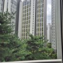 산성파크 | [임장] 구성남 대장, 산성역 포레스티아 임장 후기