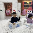 꽃향 Daum카페