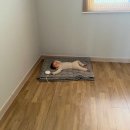 향기가득길 | 보성여행 제암산자연휴양림 숙소 차향기가득한집 예약 더늠길 산책 가볼만한 곳
