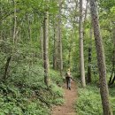 금수산민박 이미지