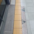 별하람마을 3단지 앞 횡단보도1 | 별하람마을 여러분 보행자거리에 노란색 [시각장애인...을 알고 계시나요? 별하람초ㅣ별하람5단지영어LAB