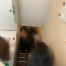 을지로 보잉(Boing)비행기 컨셉 카페 주말 오픈런 후기