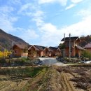 유촌리(가내들) 이미지