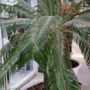 지티행정사사무소 이미지