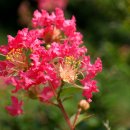 내산서원 이미지