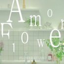 아모르데이A 이미지