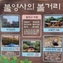 산사가는길 | [경북 울진 여행] 겨울 산사의 평온함을 담다, 천축산 불영사 방문기