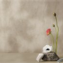 엘림비치 킹스테이 이미지