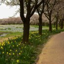 드림파크 이미지