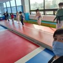박사태권도 스포츠 클럽 이미지