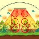 정균농장 이미지