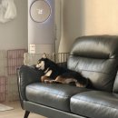 아로미 펜션 이미지