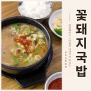 부산 국밥 맛집 추천｜수육백반 따로국밥 꽃돼지국밥 후기