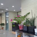 홍상희동물병원 이미지