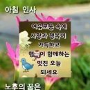 건강한생활