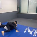 라텔 주짓수,복싱 강서 | 염창역주짓수 입문 후기, 아트주짓수 강서에서 만난 노기 수업