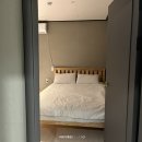 445더팜스