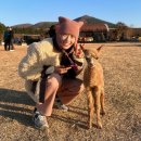 설현농장 이미지