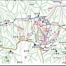 정상(대구)