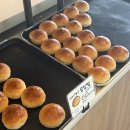 코코로팡 이미지