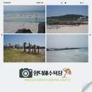 계절식탁향토 | 제주 함덕해수욕장 주차 개장일 샤워장 해수욕장 추천&계절식탁