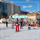 홍천군농업기술센터장비보관시설 | 홍천 비발디파크 스키강습 추천 및 스키장 방문 솔직 후기