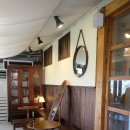 고양이 카페 여기 이미지