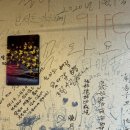 새벽항구 | 통영 무전동 노포갬성 술집 [새벽항구] 솔직후기