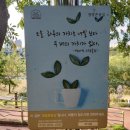 실개천 | 안양천 산책하다