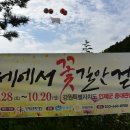 꽃길만걷자 이미지