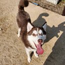 고잔2길 이미지