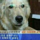 대구 수성구 남자 머리 잘하는 헤어다인에서 봄맞이 남자 가르마펌 후기