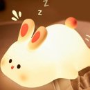 토끼성 | 귀여움 한도초과인 말랑토끼 실리콘 무드등