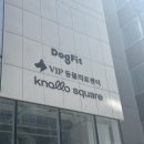 브이아이피 동물의료센터 네이버블로그