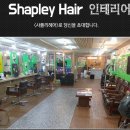 샤플리 이미지