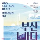 국제가요샵 이미지