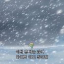 이즈라이프 이미지