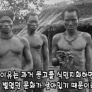 1800년대 콩고가 벨기에 식민지였을때 실화 이미지