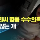 [미디어비평] 김건희 씨 명품 수수의혹과 짖지 않는 개 이미지