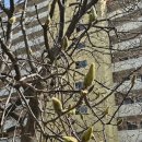 보민한의원 | 이원장 딸바보 돌입하였음을 신고합니다! (한의사 임신, 출산기)